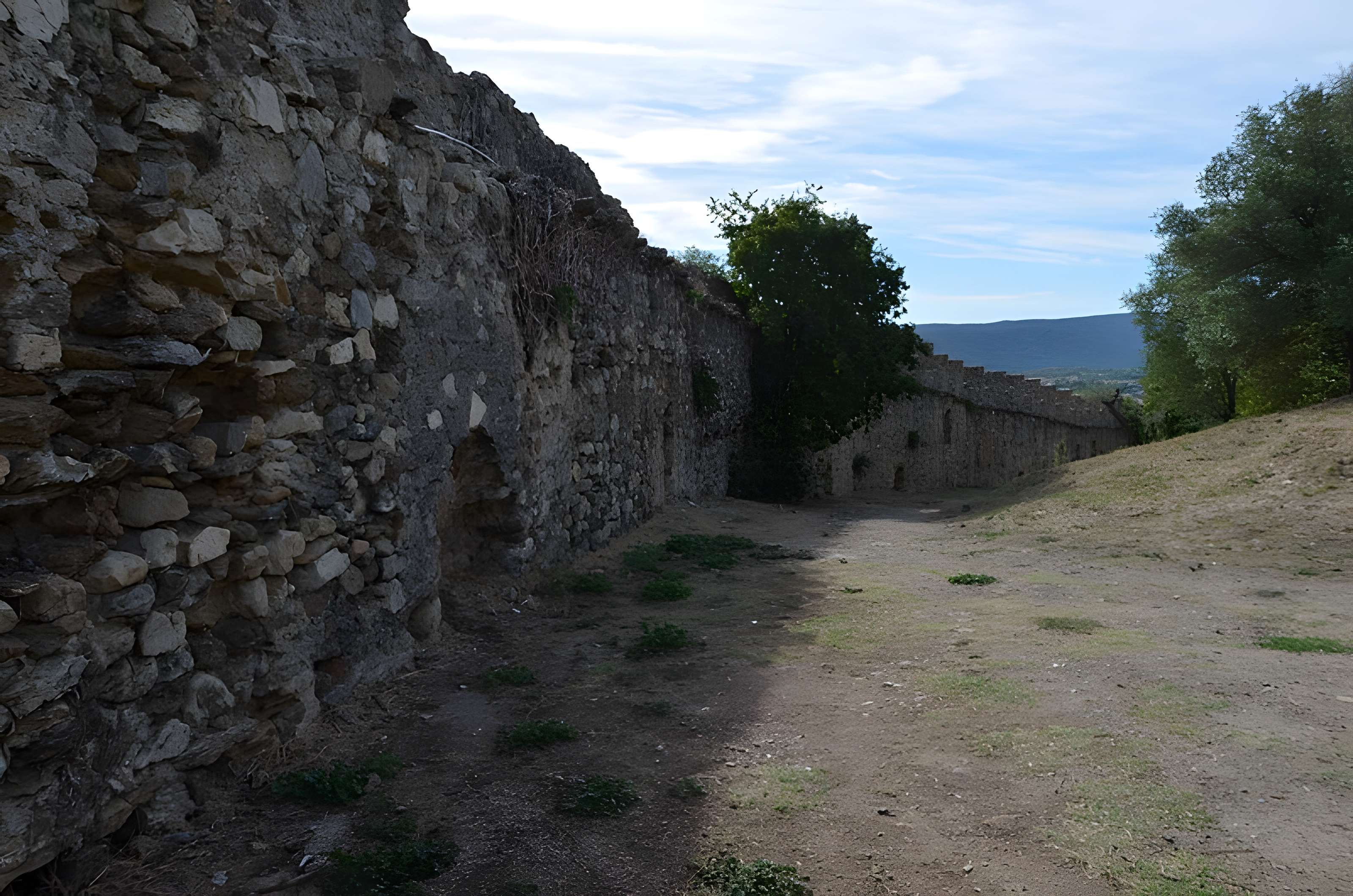 Vestiges du château