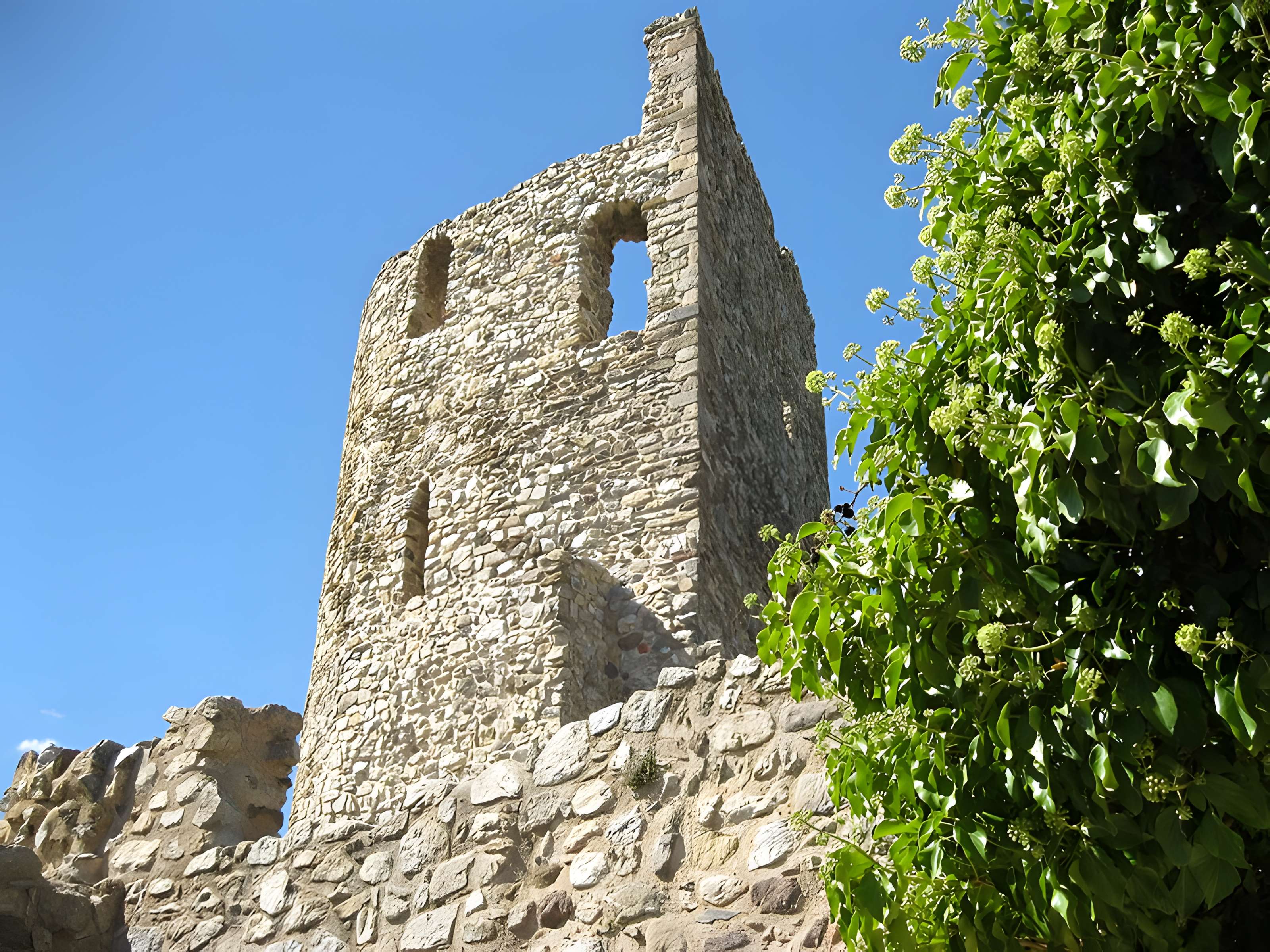 Vestiges du château