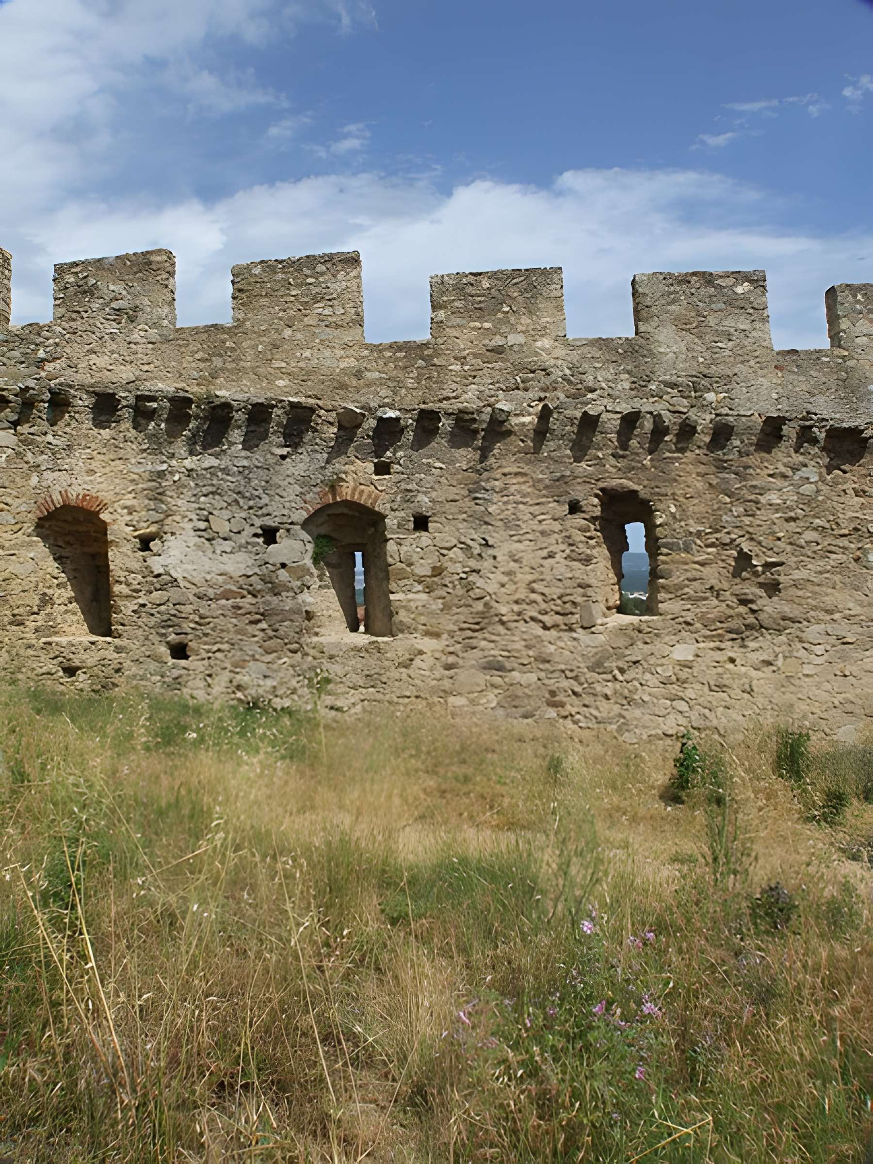 Vestiges du château