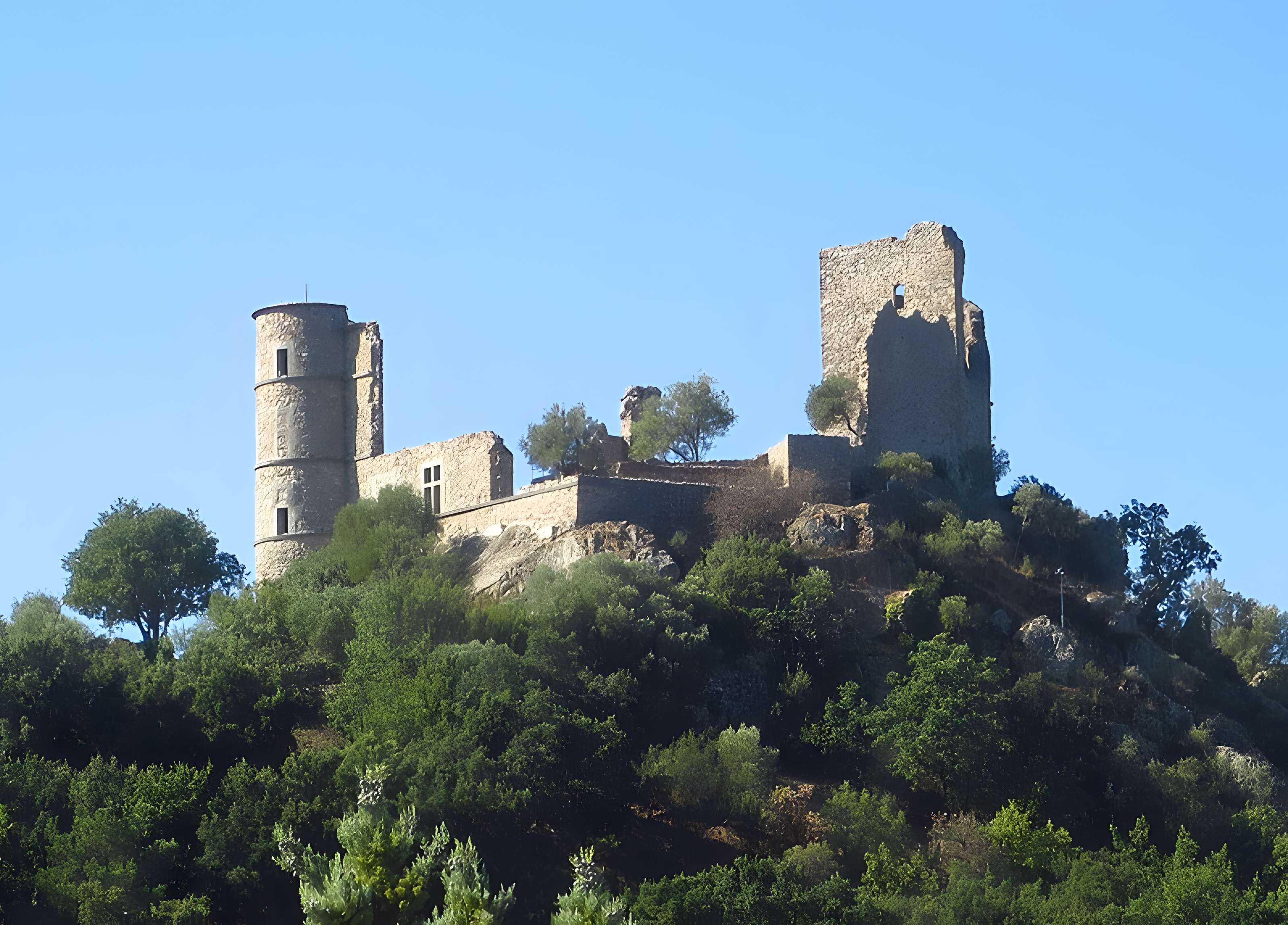 Vestiges du château