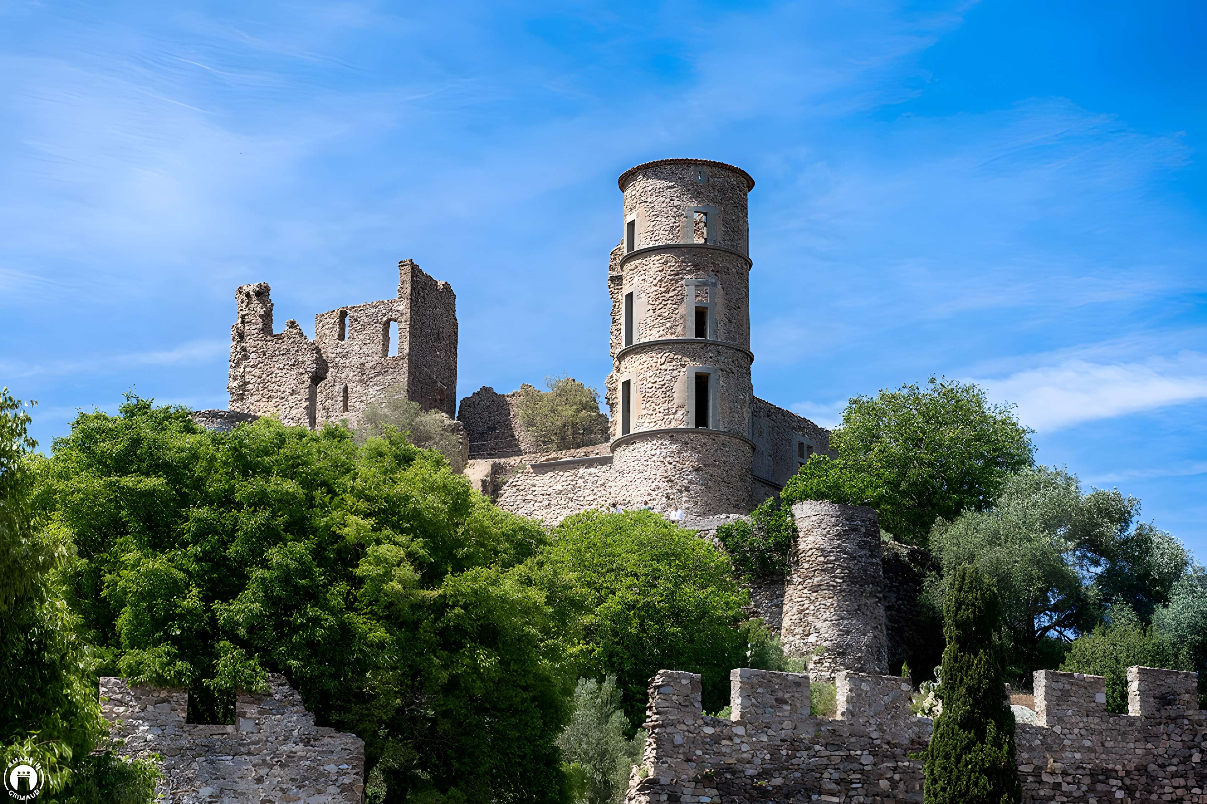 Vestiges du château