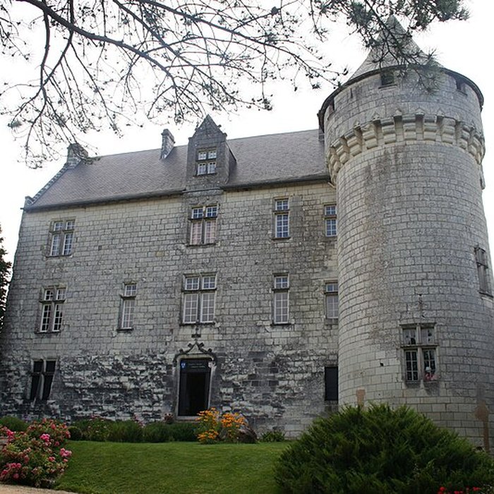 Photo de Château de la Motte à Usseau