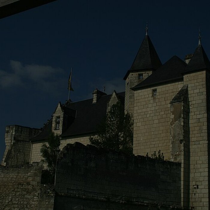 Photo de Château de la Motte à Usseau