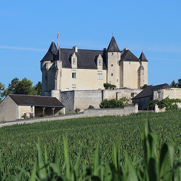 Photo de Château de la Motte à Usseau