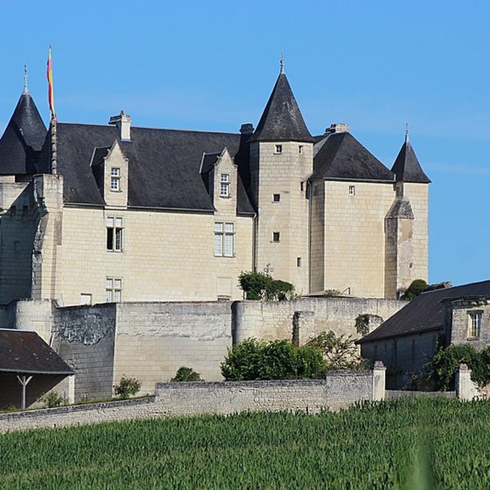 Photo de Château de la Motte à Usseau
