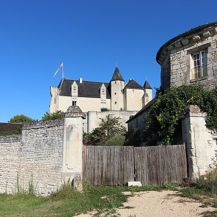 Photo de Château de la Motte à Usseau