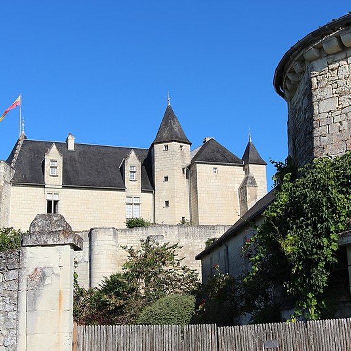 Photo de Château de la Motte à Usseau