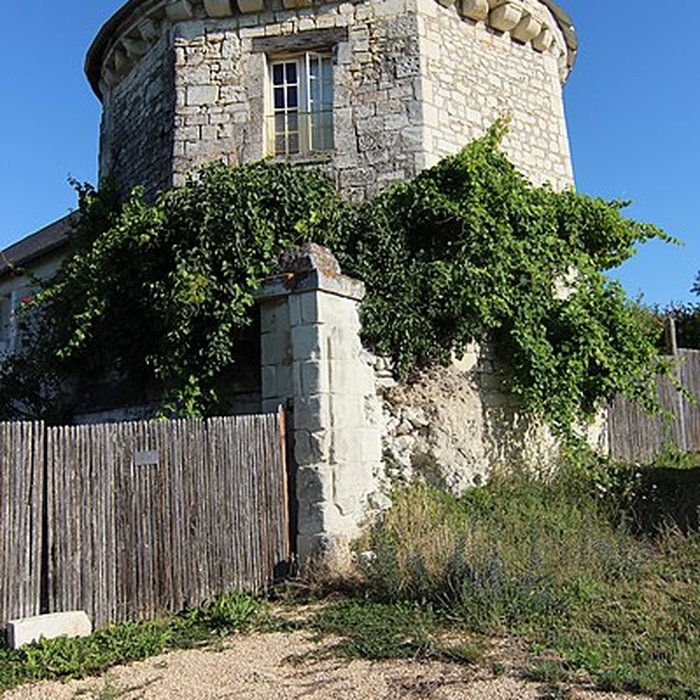 Photo de Château de la Motte à Usseau