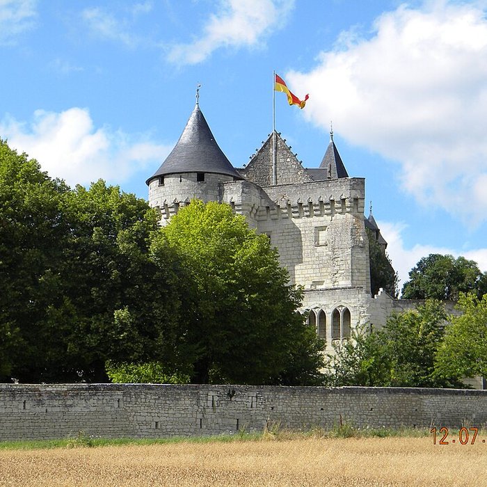 Photo de Château de la Motte à Usseau