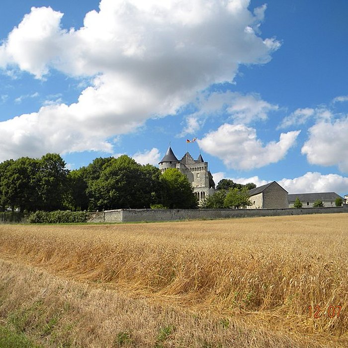 Photo de Château de la Motte à Usseau