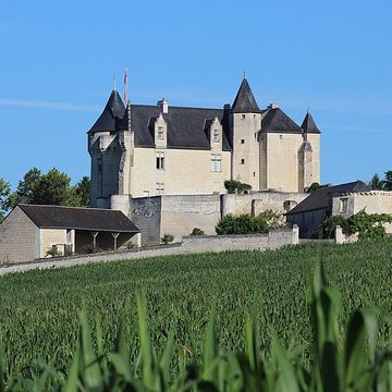 Château de la Motte à Usseau