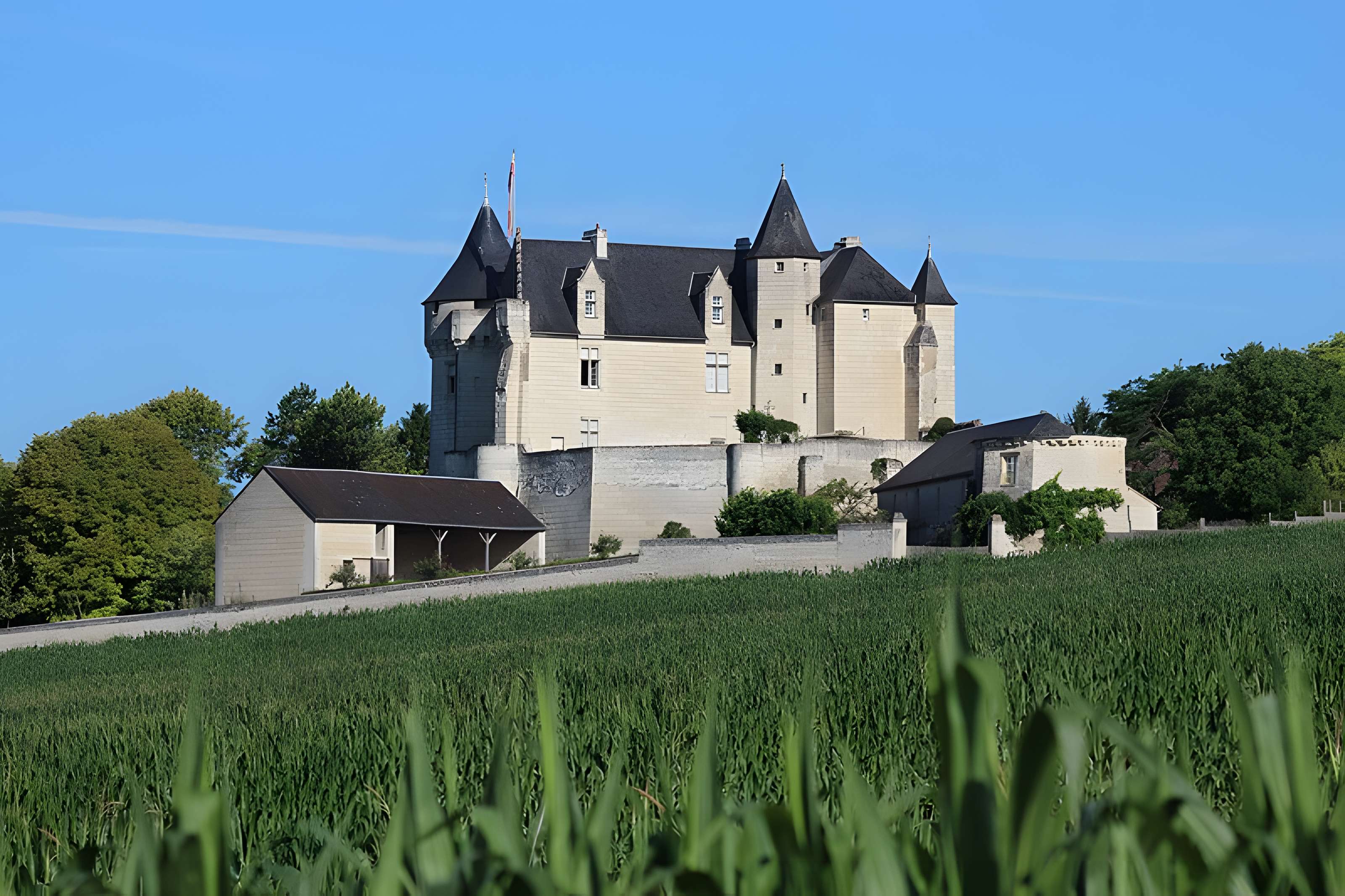 Château de la Motte à Usseau