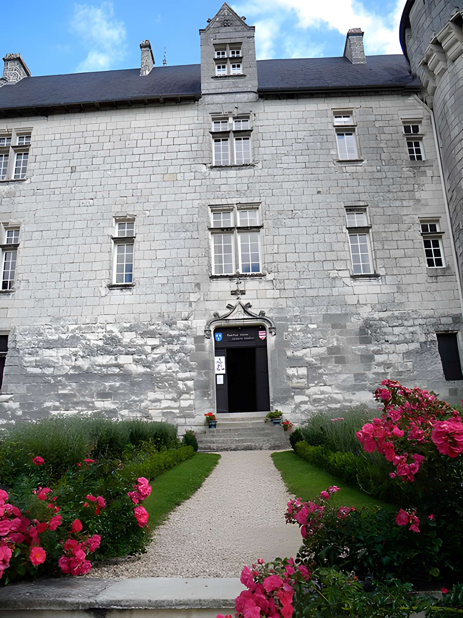 Château de la Motte à Usseau