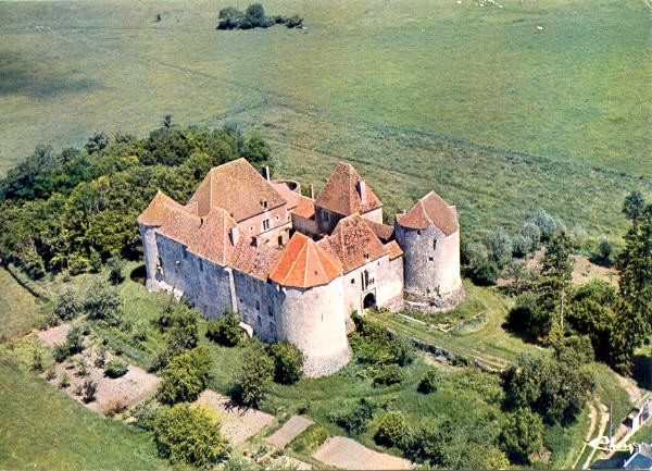 Photo de Château de la Motte-Josserand