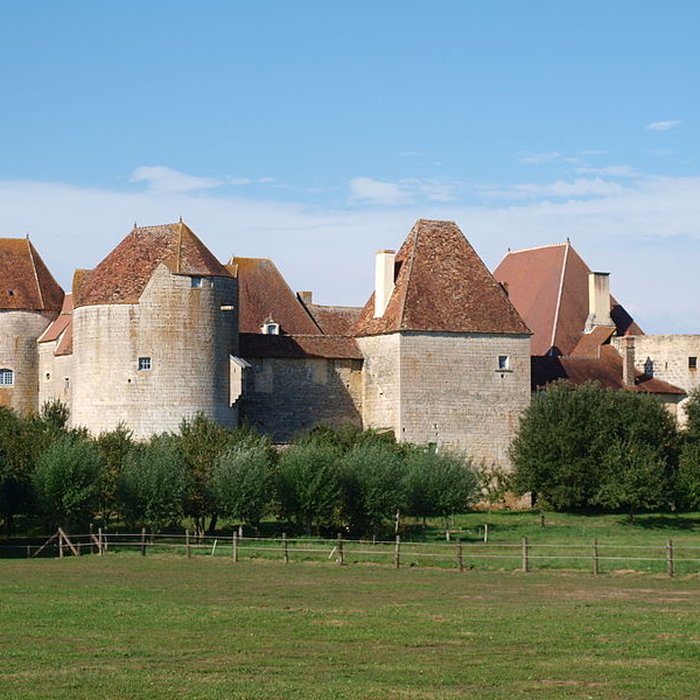 Photo de Château de la Motte-Josserand