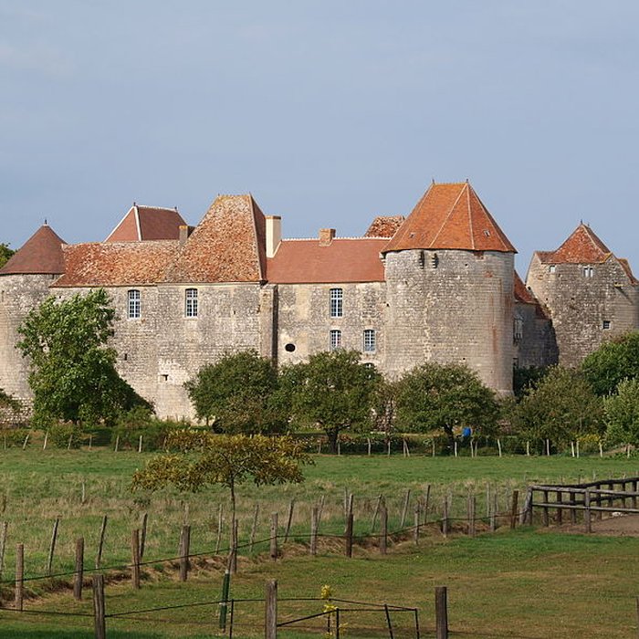 Photo de Château de la Motte-Josserand
