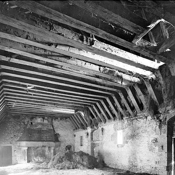 Photo de Château de la Motte-Josserand