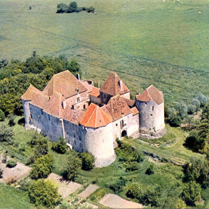 Photo de Château de la Motte-Josserand