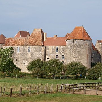 Château de la Motte-Josserand