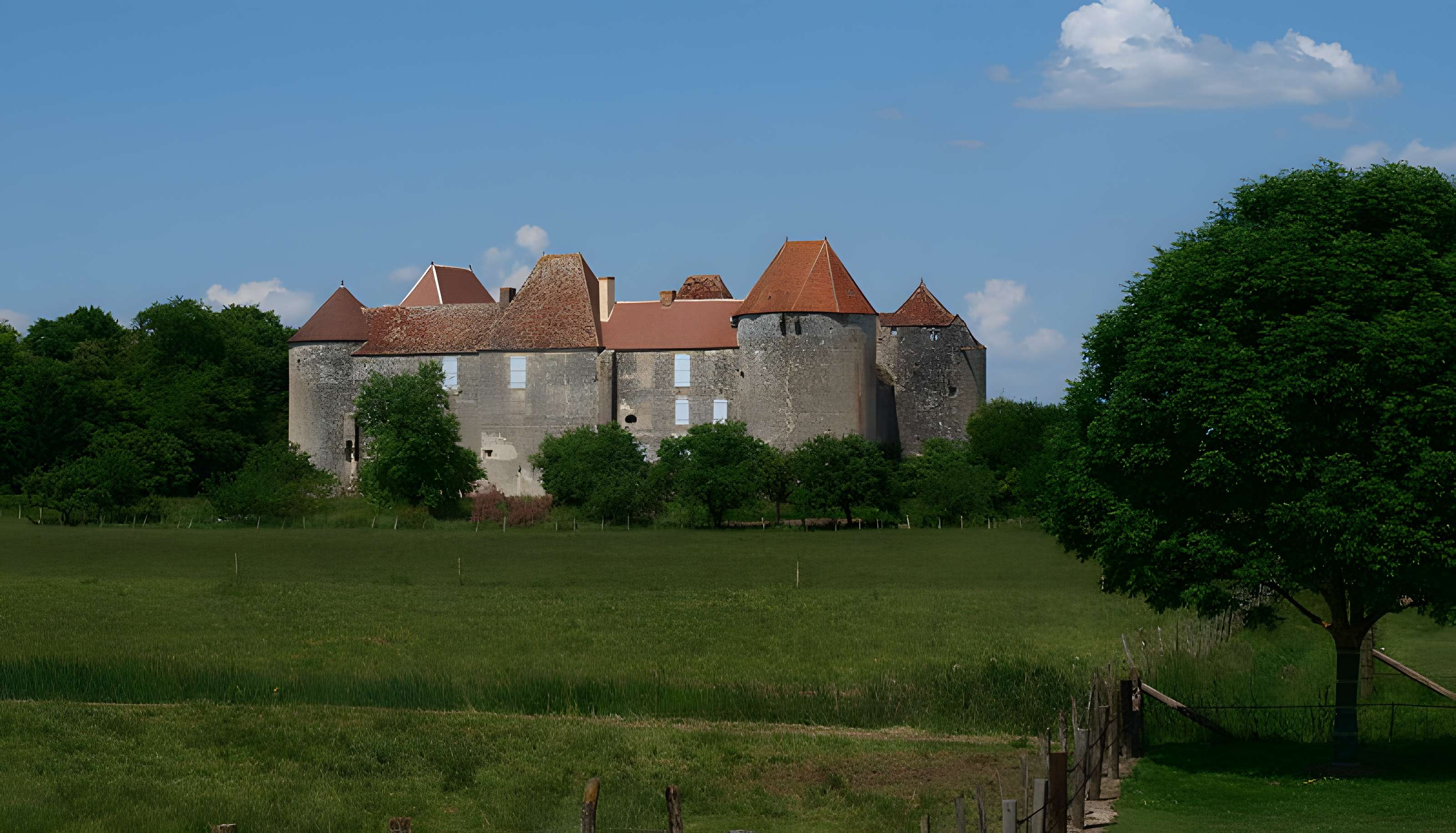 Château de la Motte-Josserand