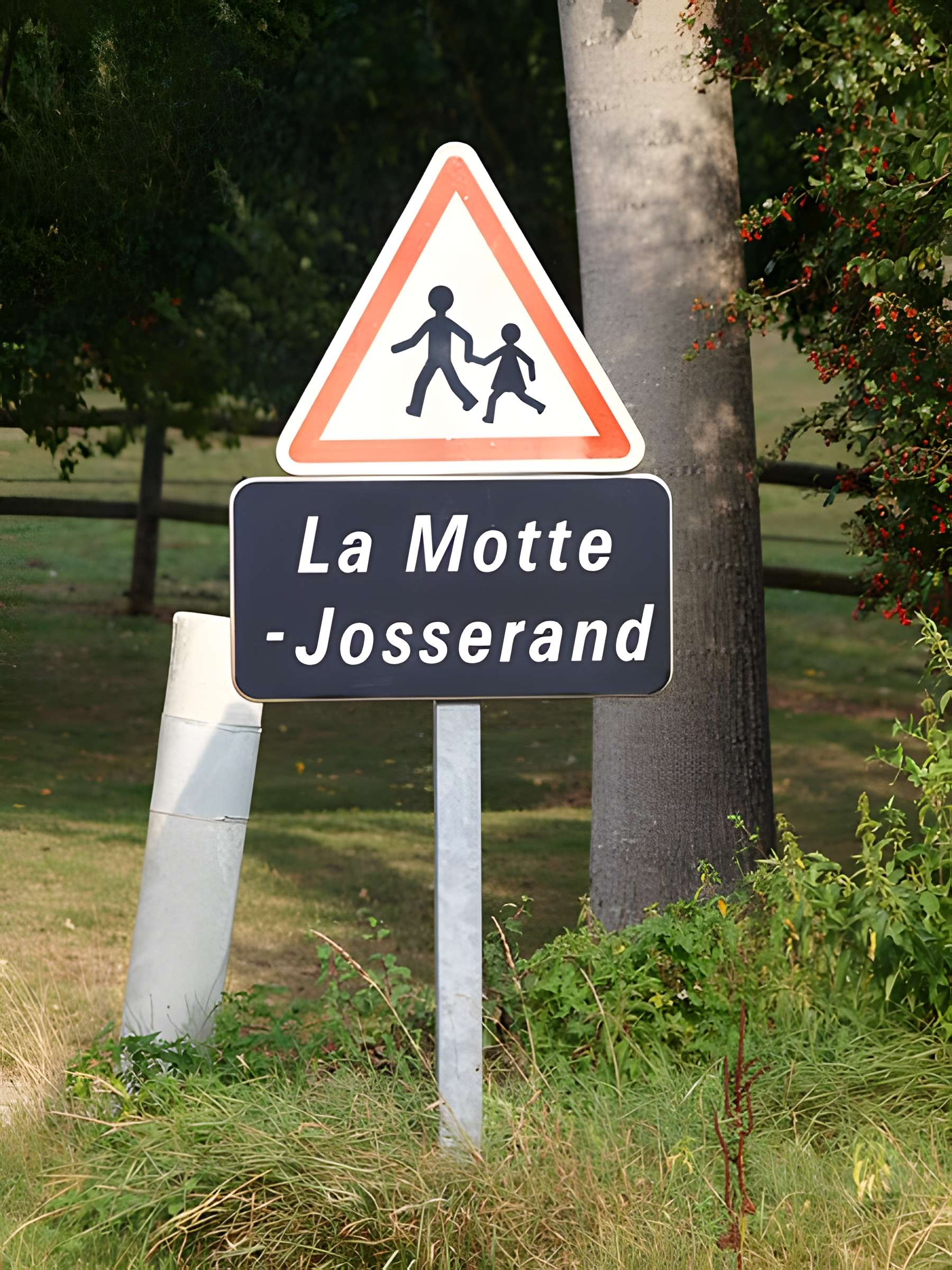 Château de la Motte-Josserand