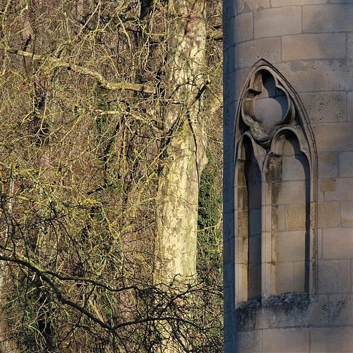 Photo de Château de la Reine Blanche à Coye-la-Forêt
