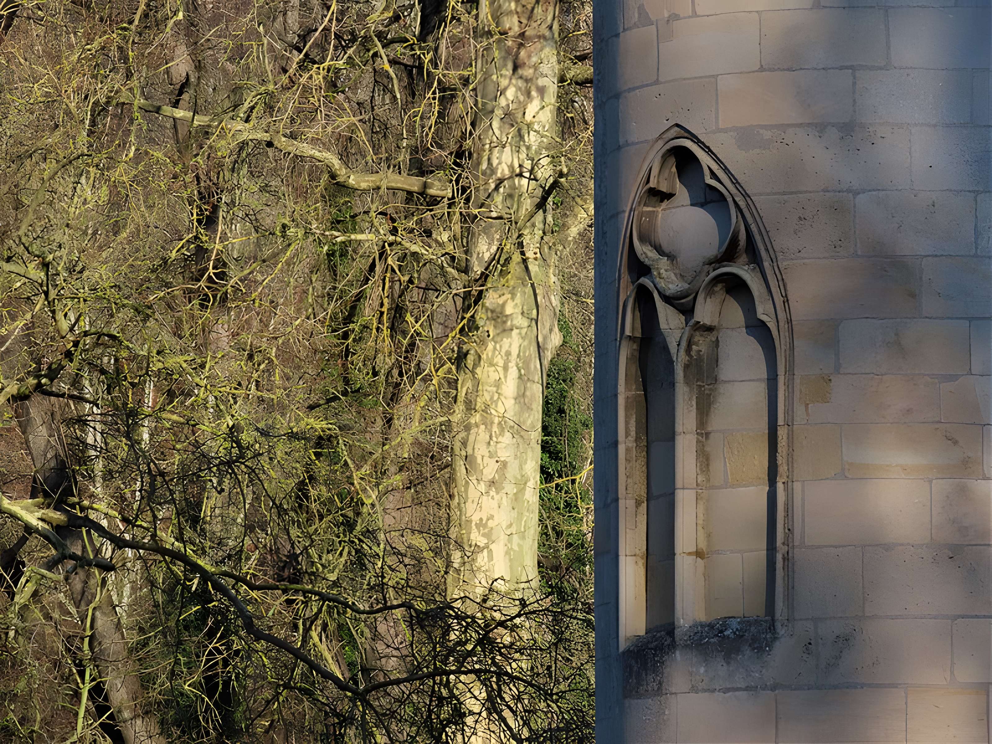 Château de la Reine Blanche à Coye-la-Forêt