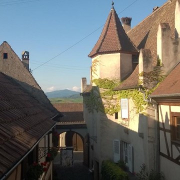 Fontaine de 1543 de Nothalten Musée du Patrimoine de France