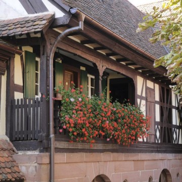 Maison