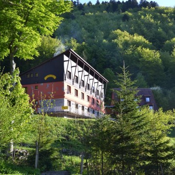Domaine