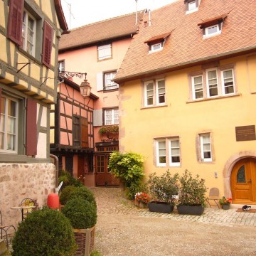 Maison