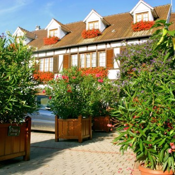 Aux