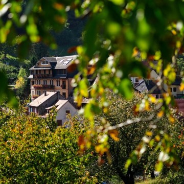 Le