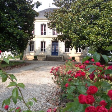les roses Château des Grandes Vignes