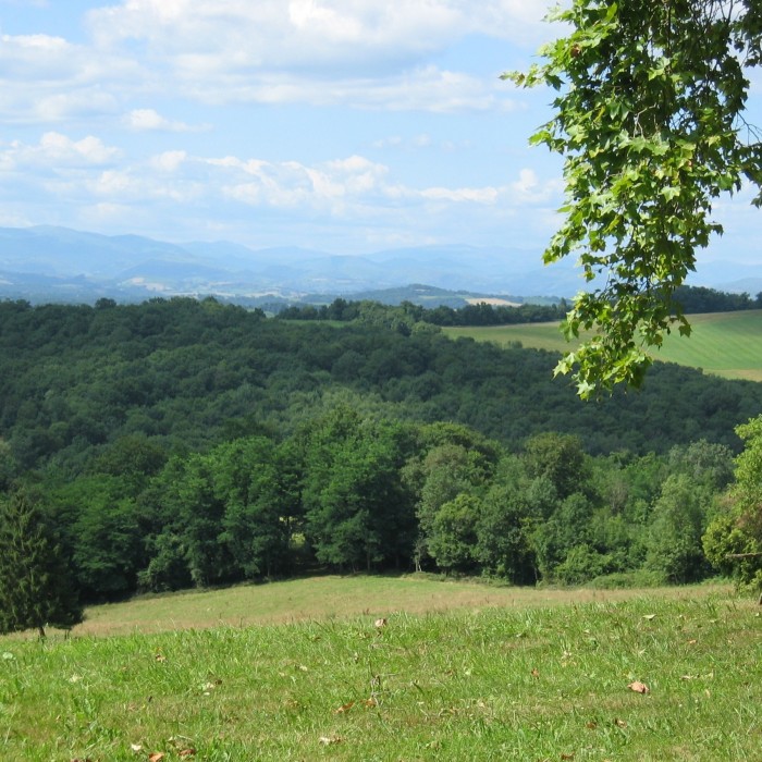 Photo de Château dOrion