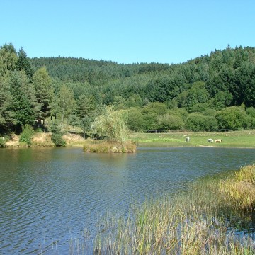 Photo Maison dHôtes Le Boucharel à Champagnac-le-Vieux 43440