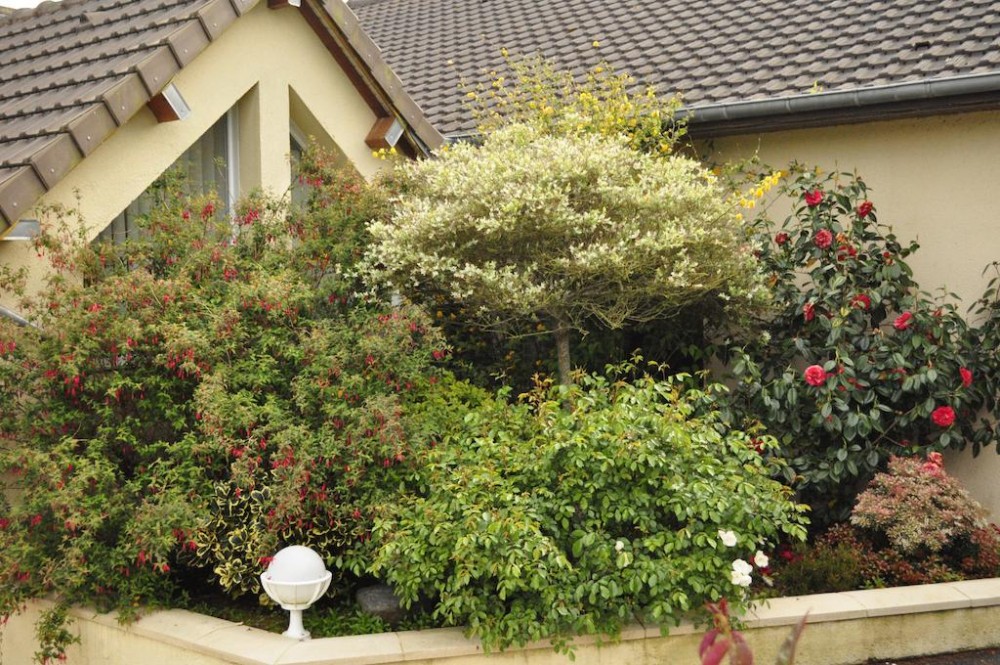 Photo de Hôtel La Rosiere