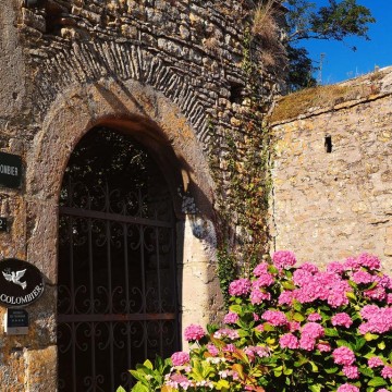 Chateau Le Colombier