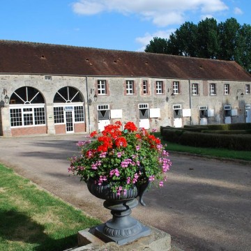 Haras