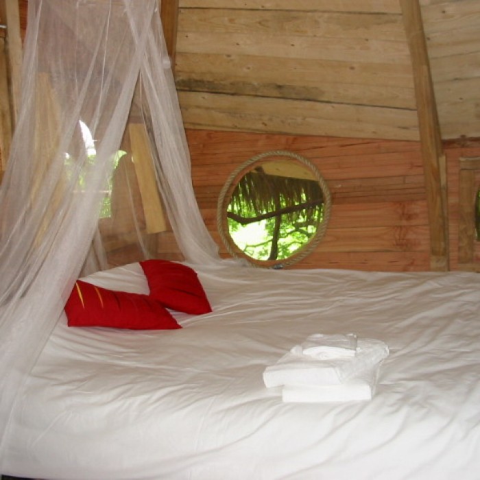 Photo de Domaine de la Grande Noë, cabanes dans les arbres