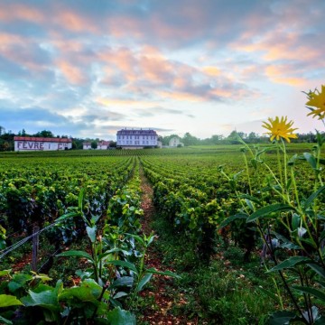 Gites