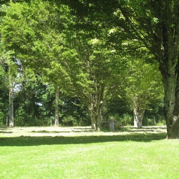 Jardin Chambres dHôtes Domaine les Escargots