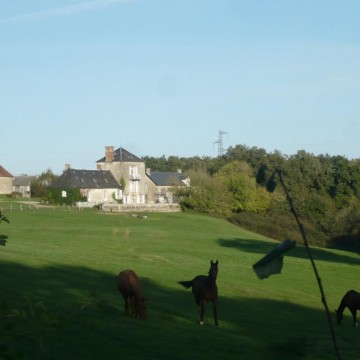 Domaine