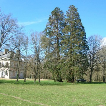 Château