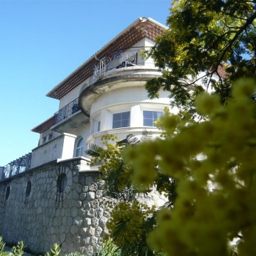 Si
