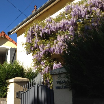 Photo Chambre dHôtes La Villa Molina à Besançon 25000