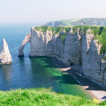 New