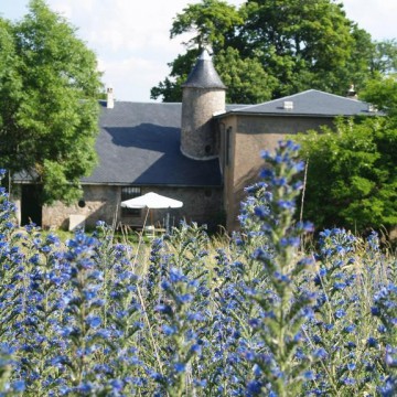 Domaine