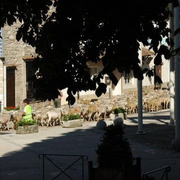 Les