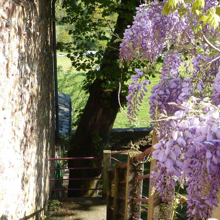 Photo de Château de Salelles